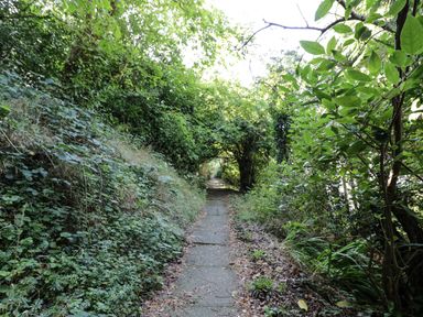 A narrow paved path through dense greenery with trees and bushes on both sides at Tor Cottage in Colwall Herefordshire