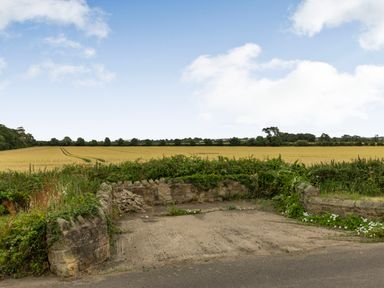 A parking space with stone walls and greenery near a field under a blue sky at Secret Kingdom Cottage in Warkworth
