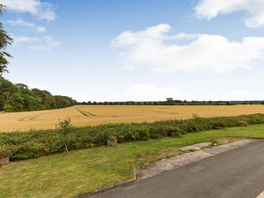 An open field with crops surrounded by trees and a paved road nearby at Secret Kingdom Cottage in Warkworth