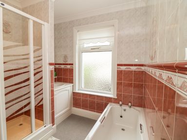 A bathroom with a bathtub sink and shower at Silver Crooks in Trewyn Nr Holsworthy