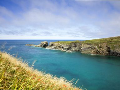A coastal scene with grassy cliffs and blue water at Silver Crooks in Trewyn Nr Holsworthy