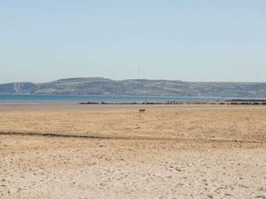 A sandy beach with a dog walking near the shore and hills in the background at 4 Parc Delfryn in Brynteg near Benllech