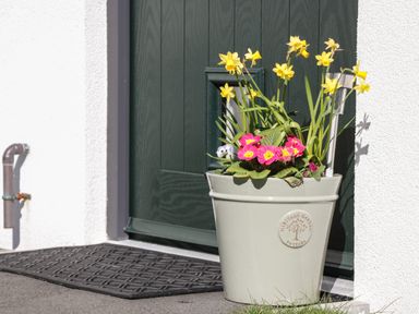 A flower pot with yellow and pink flowers placed near a dark green door at 4 Parc Delfryn Brynteg near Benllech