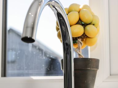 A kitchen faucet with a potted plant with yellow fruit in the background at 4 Parc Delfryn Brynteg near Benllech