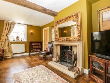 A living room with a fireplace an ornate mirror a leather chair a wooden bookshelf and a television at Valley House in Devizes