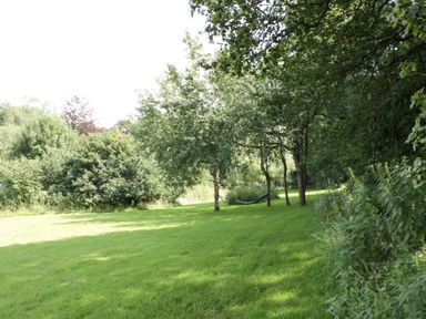 A grassy garden area with trees and bushes and a hammock at Valley House in Devizes