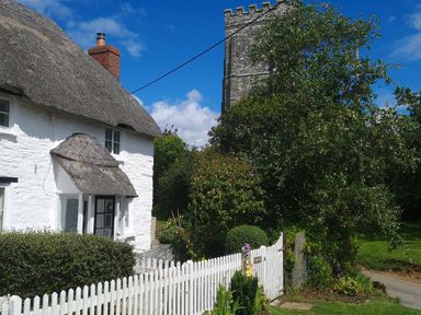A white thatched cottage with a chimney and a white picket fence near a stone church tower and trees at Furneaux Hatch in Churchstow