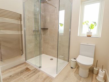 A bathroom with a glass shower enclosure a white toilet a small plant on the window and a beige heated towel rail at Pen Bryn in Cyffylliog near Ruthin