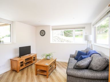 A sitting room with a grey sofa and blue cushions a wooden coffee table with a plant and a wooden TV stand with a television at Hafotty Gelynen in Maerdy near Corwen