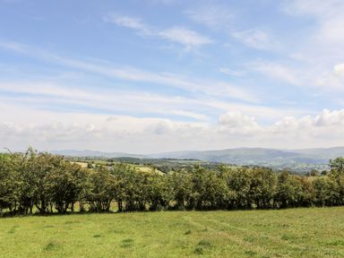A grassy field with a row of trees and hills in the background at Hafotty Gelynen Maerdy near Corwen