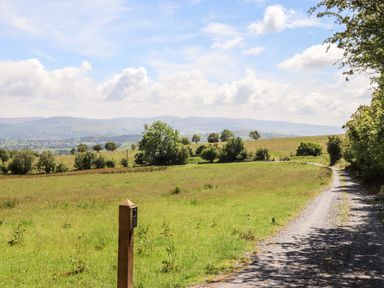 A gravel road running alongside a field with trees and hills in the background at Hafotty Gelynen in Maerdy near Corwen
