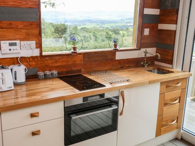 A kitchen counter with an oven stove toaster kettle and small plants on the window at Woodland Pod Maerdy near Corwen