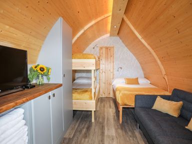 A wooden pod bedroom with bunk beds a double bed a gray sofa with cushions a TV on a cabinet and sunflowers at Woodland Pod Maerdy near Corwen