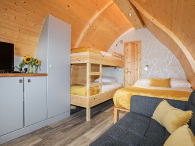 A bedroom with wooden bunk beds a double bed a gray sofa and a cabinet with a TV and sunflowers at Woodland Pod in Maerdy near Corwen