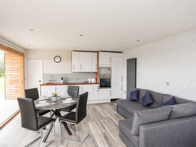 An open plan kitchen and living room with a dining table set for four and a grey sofa at Meadow Lodge in Maerdy near Corwen