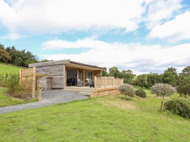A wooden cabin with a deck and outdoor furniture on a grassy hill with trees in the background at Meadow Lodge Maerdy near Corwen