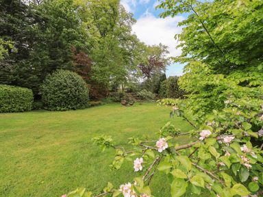 A garden with a lawn surrounded by trees and shrubs and a branch with flowers in the foreground at Greenstyles in Bowness-On-Windermere