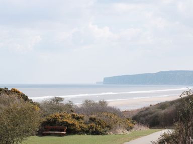 A coastal landscape with a bench near bushes and a path overlooking the sea and cliffs at Buck Place in The Bay - Filey