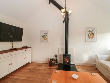 A living room with a wood burning stove television and sofa at Tom's Barn in Mudford Sock near Yeovil Somerset