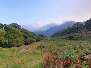 A grassy field with shrubs and trees with mountains and clouds in the background at Bryn in Bethesda