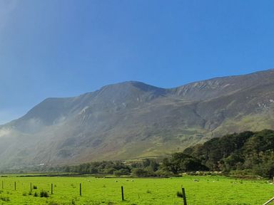 A green field with sheep and trees in front of a mountain under a clear blue sky at Bryn in Bethesda