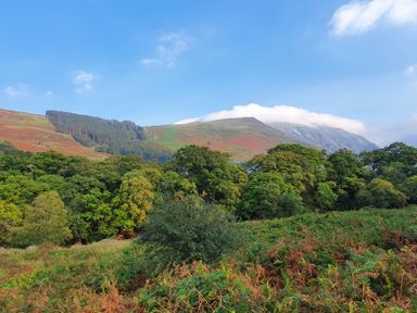 A landscape with hills trees and shrubs under a blue sky at Annest in Bethesda