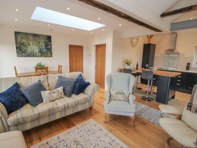 An open living room and kitchen with sofas a dining table and kitchen island at Border View Lodge in Llandrinio