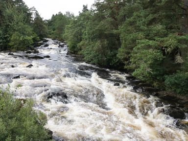 A river with rapids flowing through a forested area at Millmore Cabin in Killin