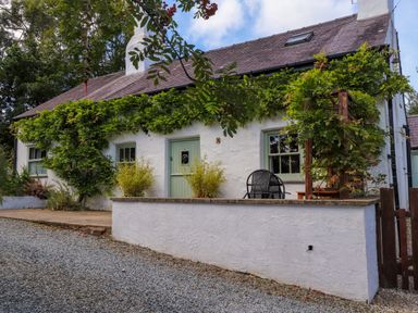 A white cottage with green window frames and door with plants growing on the walls and a gravel driveway at Bwthyn Gwyn Ty'n Y Pant in Boduan near Nefyn