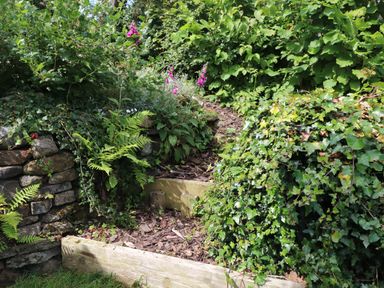 A garden path with stone walls and wooden steps surrounded by green plants and purple flowers at Bwthyn Gwyn Tyn Y Pant Boduan near Nefyn