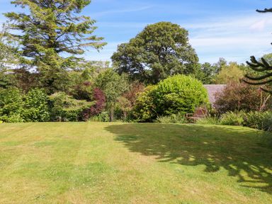 A garden with a grassy lawn trees bushes and a wooden bench at Bwthyn Gwyn Ty'n Y Pant in Boduan near Nefyn