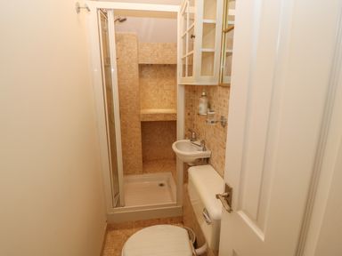 A small bathroom with a shower enclosure a white toilet and a small white sink at Yr Hen Ysgol The Old School in Prenteg