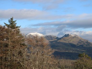 A landscape showing snow-capped mountains with trees in the foreground at Yr Hen Ysgol The Old School in Prenteg