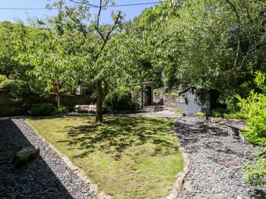 A garden with a tree in the center a stone path and a small shed at Yr Hen Ysgol The Old School in Prenteg