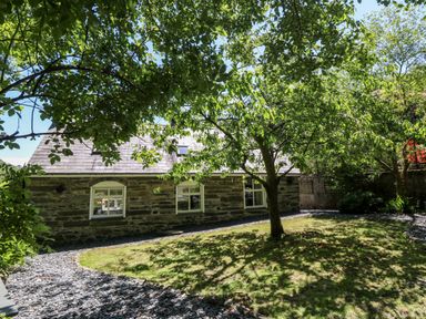 A garden with a tree grass and a stone path outside a stone house at Yr Hen Ysgol The Old School in Prenteg