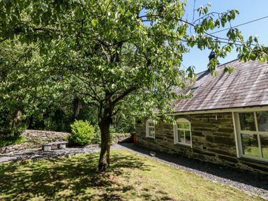 A garden with a tree stone bench and stone house wall at Yr Hen Ysgol The Old School in Prenteg