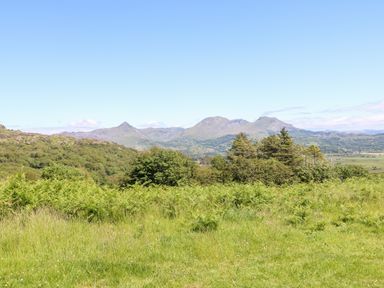 A grassy field with shrubs and trees with mountains in the background at Yr Hen Ysgol The Old School in Prenteg