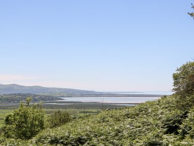 A view of green vegetation and trees with hills and water in the distance at Yr Hen Ysgol The Old School in Prenteg