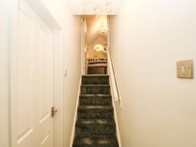 A carpeted staircase with white walls and a handrail leading to a room with chandeliers at Yr Hen Ysgol The Old School in Prenteg