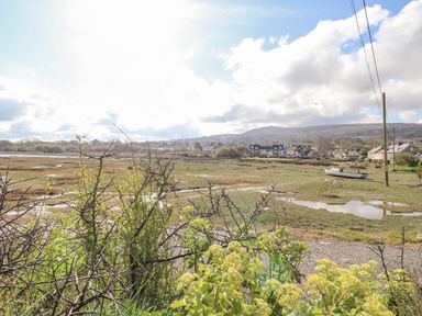 A grassy marshland with a boat on the shore and houses in the background at Chandlers Retreat in Newport Pembrokeshire
