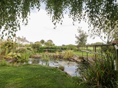 A garden with a pond surrounded by plants and a wooden bridge in the background at The Barn at Rapps Cottage in Rapps near Ilminster