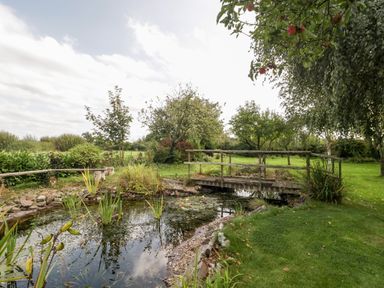 A garden with a pond wooden bridge and apple trees at The Barn at Rapps Cottage in Rapps near Ilminster