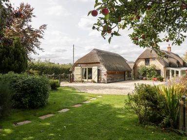 A garden with green grass bushes and an apple tree in front of two thatched cottages at The Barn at Rapps Cottage in Rapps near Ilminster