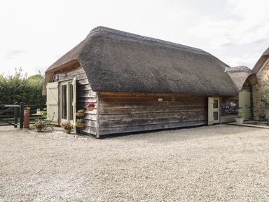 A wooden building with a thatched roof and flower pots placed outside at The Barn at Rapps Cottage in Rapps near Ilminster