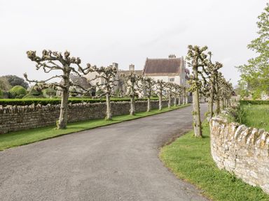 A paved driveway lined with pruned trees and stone walls leading to a large stone house at The Barn at Rapps Cottage in Rapps near Ilminster