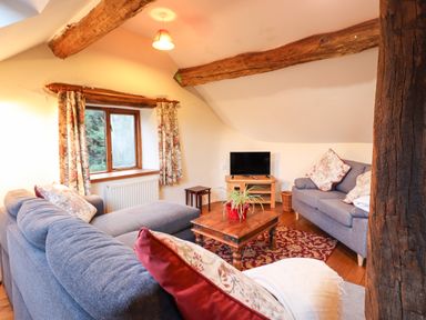 A living room with two grey sofas a wooden coffee table with a plant and a television on a stand at Yr Hen Felin in Llanfyllin