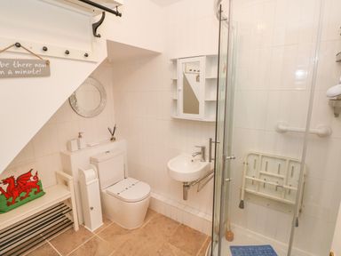 A bathroom with a toilet sink shower area and a bench with a pillow at Ffau'r Ddraig in Cross Hands