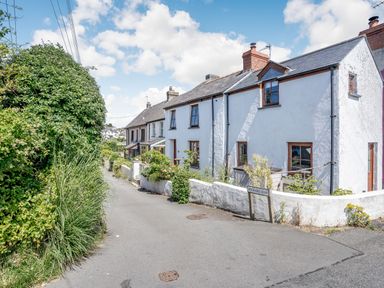A row of white houses along a narrow paved street with greenery on one side at Sea Pickle Cottage in Llangwm Pembrokeshire