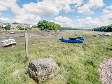 A riverbank with several small boats on grass and mud near houses and trees at Sea Pickle Cottage in Llangwm Pembrokeshire