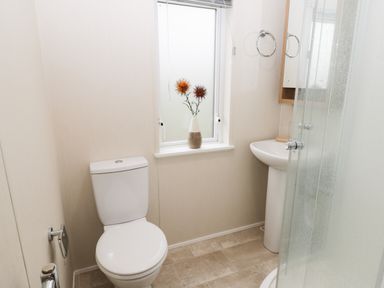 A bathroom with toilet sink shower and vase with flowers on window sill at Huckleberry in Runswick Bay near Staithes